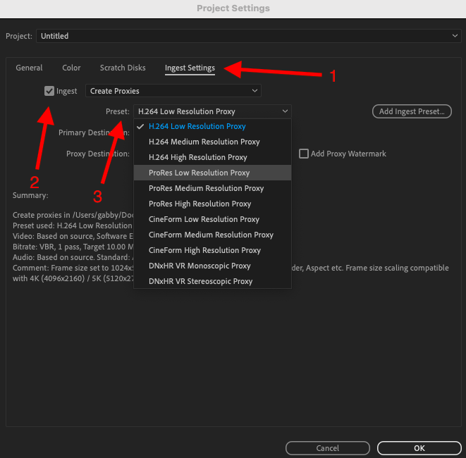 Screenshot of project settings
