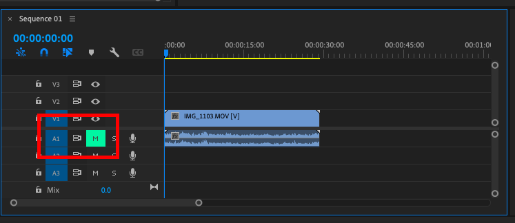 Screenshot of audio track in the timeline.